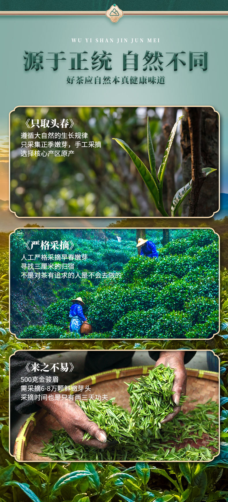 红盒带茶具_06.jpg