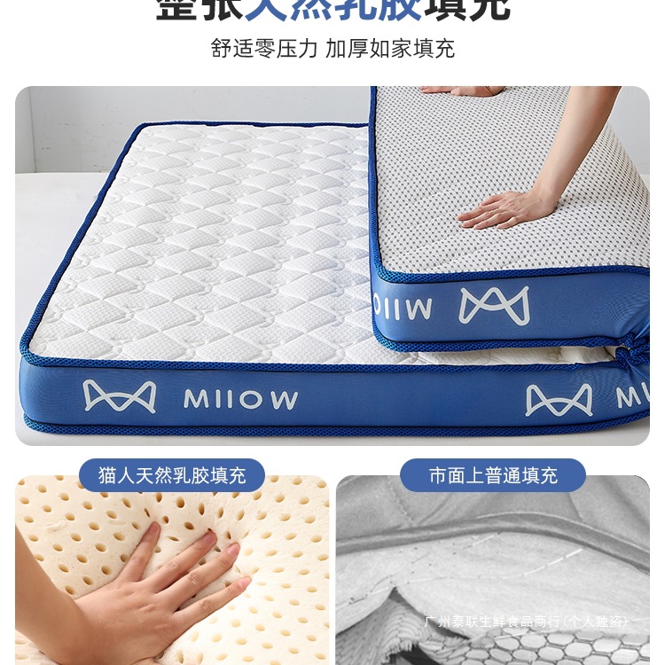 Latex Memory Foam Mattress Cover Soft Cushion Home Bedroom Dormitory Student Single Tatami Sponge Mattress Mat