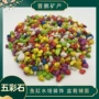 娱乐儿童多肉彩色五彩石