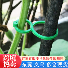 �羳�@ˇ8�ֿ��������t�������������ֿ�ֲ��̶��ۺ��JȦ�@����