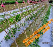 ������ӈ@ˇ��U�ܗU֧�λh�ʷN�˲����ټ����Ѽ��b�޼ܼ���̫��