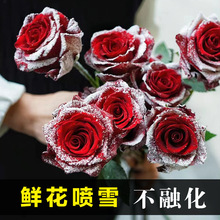 圣诞节鲜花喷雪不融化鲜花喷色剂喷漆喷雾喷雪玫瑰仿真假雪花