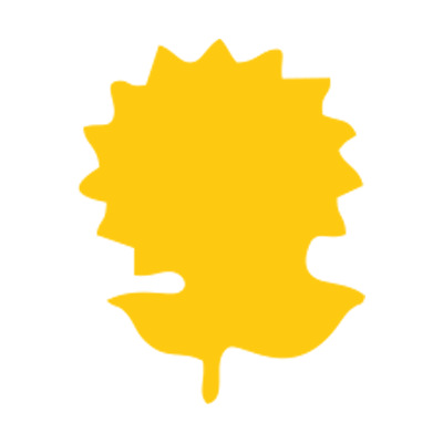 Placa atrapada de insectos transfronterizos doble cara trampa de moscas de forma extraña trampa de insectos placa amarilla patrón de pegamento de insectos trampa