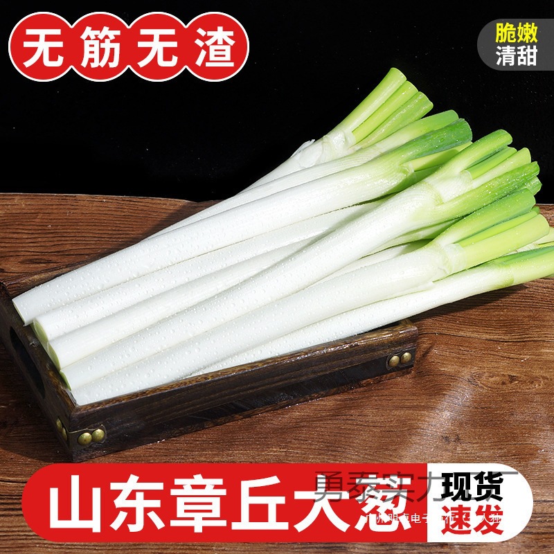 Fresh Green Onions and Chives Vegetable Specialty Zhangqiu 5 Green Onions and Chive Heads Shandong Iron 5kg Sweet and Crispy Without Packaging
