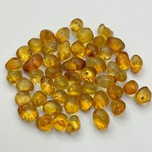 �Cĥ���z���zѩ�������ס����B�����خa�y�����w������o��ʳ