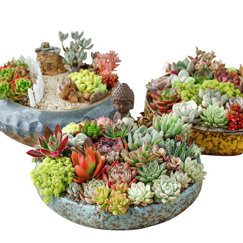 Wholesale succulent flower pot ceramic wholesale large diameter stoneware succulent plant combination pot for street stall supply one piece dropshipping