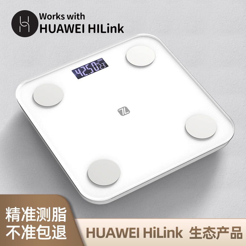 Home weight scale