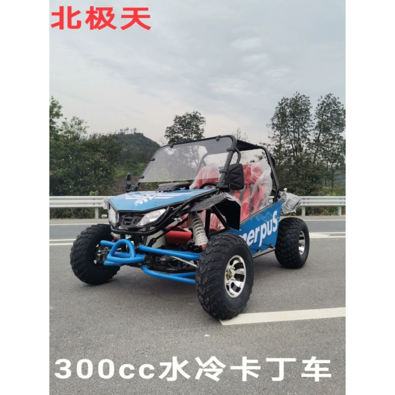 Арктический день 300cc водяного охлаждения квадроцикл для взрослых большой двухместный пустынный мотоцикл UTV полный привод UTV