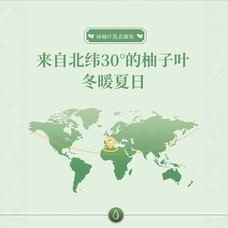 【全网热销】碌柚叶五合一洗衣凝珠洗衣液除螨保湿清凉去霉行好运|undefined