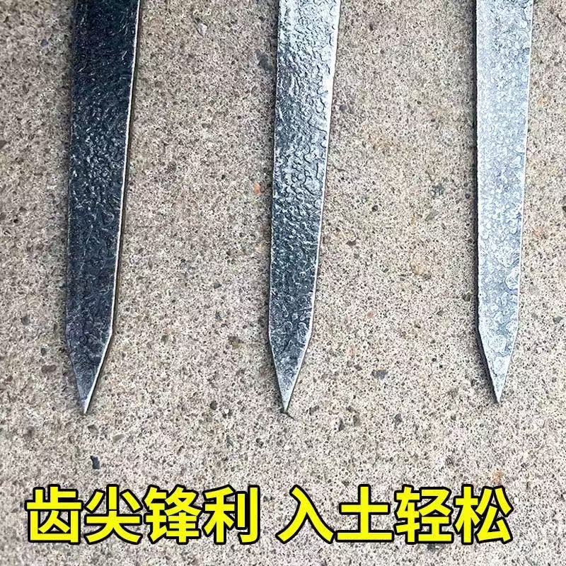 微信图片_20250425101517.jpg