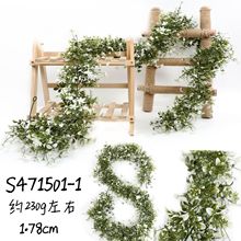 �Gֲ�ڒ��������滨����ֲ���ٗl��Y��c�Ɍ��Ҿ��b[�����l