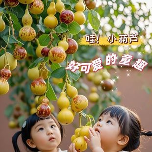 ���J��������ϱ���ͥԺ�����ش��Ә������Լ޽ӹ����箔��Y��