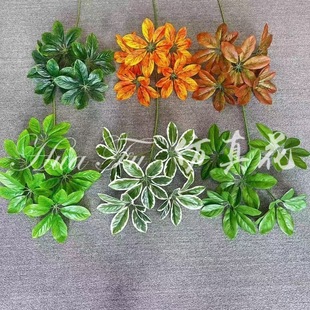 ���������ľ������Ř��~���Xֲ����~��ɫ�廨�b�Y�����l