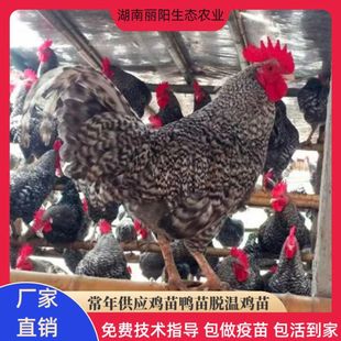 ���J���u��������lС�u������wһ���g����Ó��һ�����u���B���u