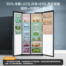 海尔冰箱616升L双门对开门双开门253/218L能效风冷无霜嵌入式