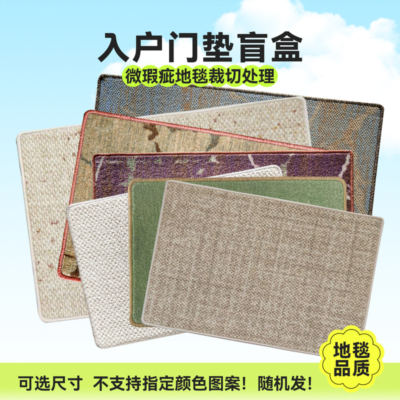 [Clearance] Household Door Mat Dust Removal Floor Mat Ending Door Bedroom Home Household Pad End Cargo Blind Box Wholesale