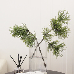 insfeng �r���ձ��ɺ��ɾGֲˮ�౱�Wins�L�b����r�ĺ��Bˮ�B