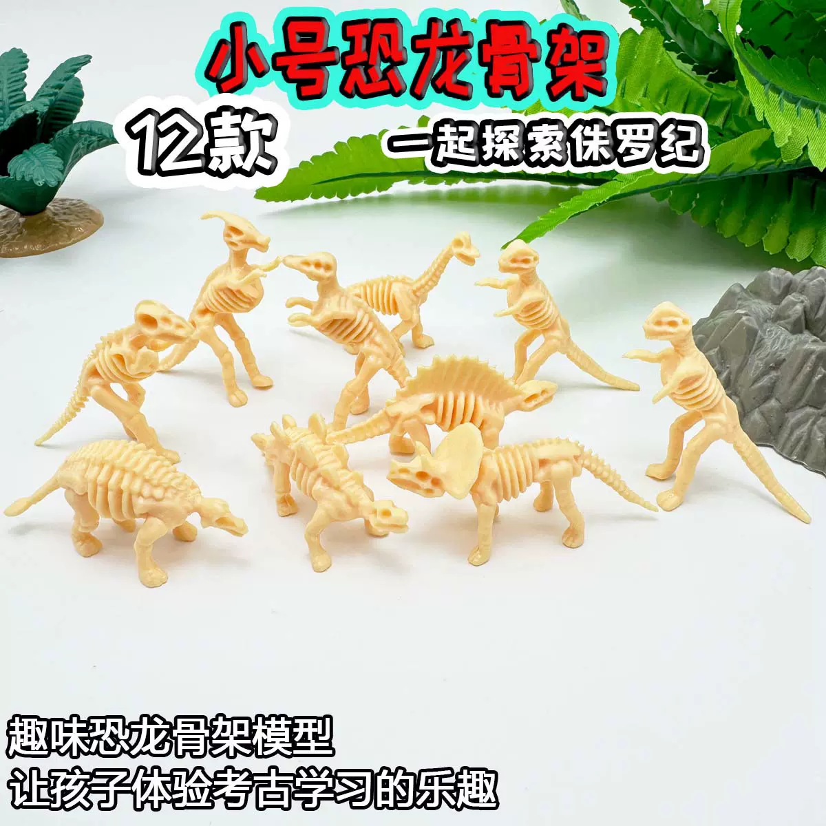12款恐龙骨架模型小号考古挖掘恐龙化石仿真霸王龙三角龙剑龙批发