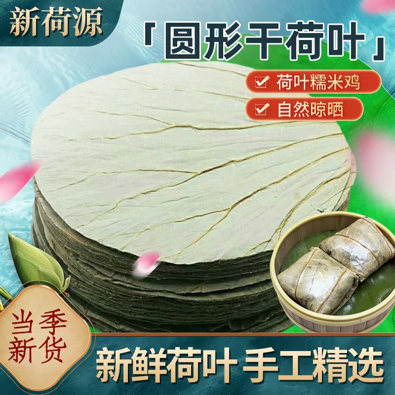 微山湖圆形干荷叶茶包粽子整张用糯米鸡饭酒坛馒头包子垫片