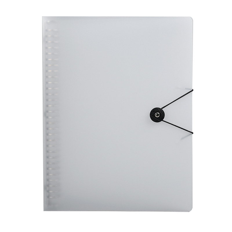 버클 쉘 화이트