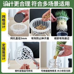 水耕栽培容器プラスチック透明円筒型植木鉢野菜豆種子多肉植物ライチサツマイモ植栽バスケット植栽ボトル