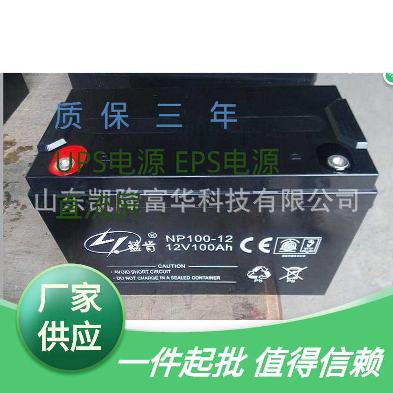 12V100AH铅酸免维护电池蓝肯NP100-12直流屏UPS应急用蓝肯蓄电池