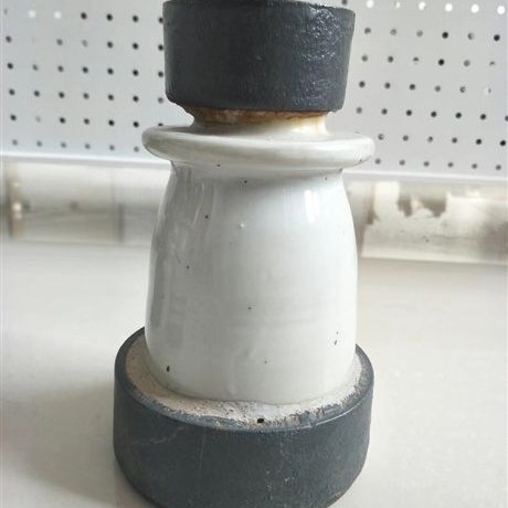 ZB-10T  ZB-10Y  电厂用型绝缘子   10kv支柱绝缘子  厂家直供