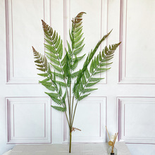 ���������ާ�ݼپGֲ��Ƭ�~��ֲ���c�廨���~�Gɫ�tɫ��˹ާ