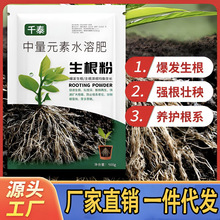 ���������L������ֲ����ֲ��������ľ�ƻ�����ֲǤ������ۄ�ˮ��