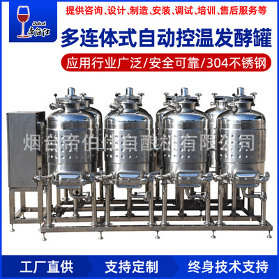 [100L发酵罐葡萄酒果酒发酵储存全自动控温学校高校科研酿酒设备]
