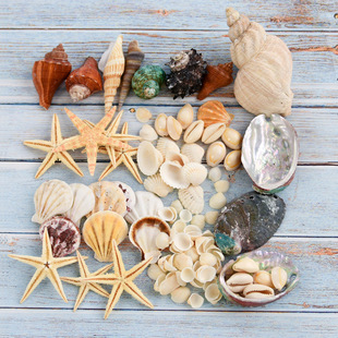 ��Ȼ�a��ؐ�����ݺ��ǔ[���׃��@�WУ�����ֹ�diy�������}����