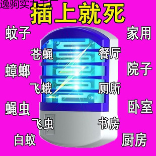 �������ß�2025�M���¿������������ȫ�ԄӲ��ʽ�{������ß�