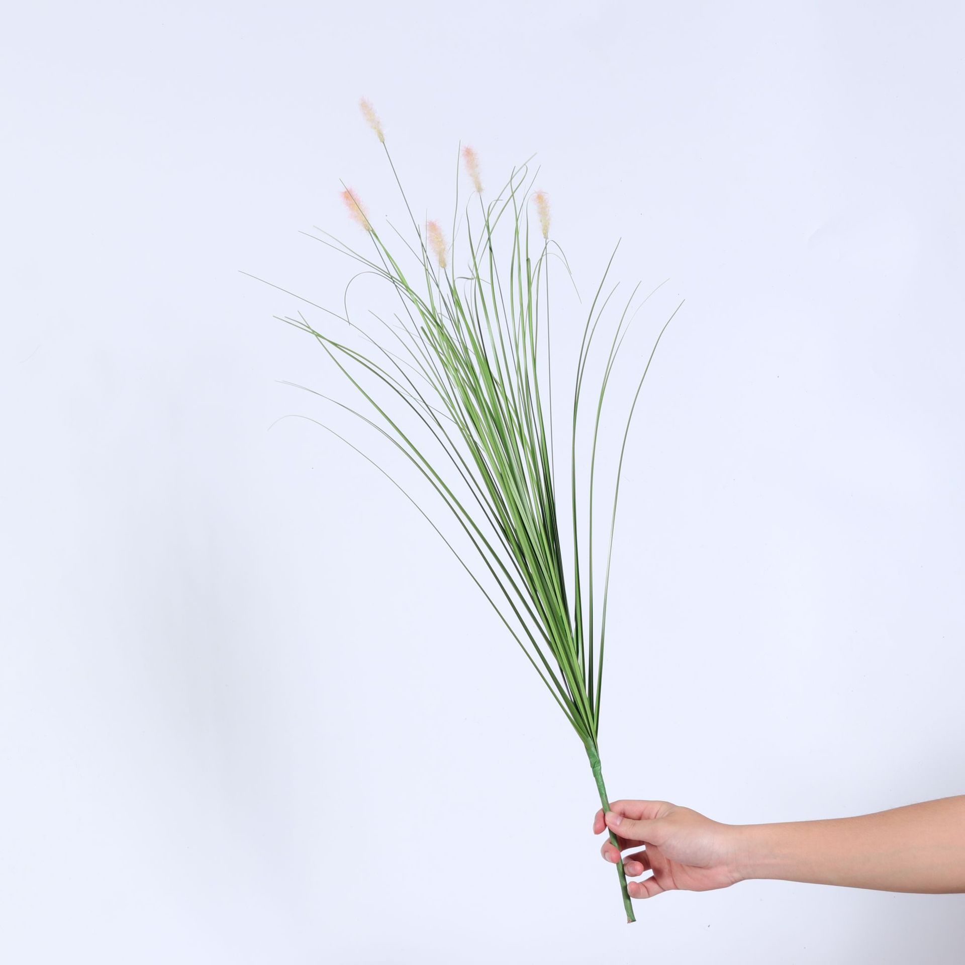 Cañas simuladas, viento, primavera, rosa, oruga puntiaguda, manojo, decoración del hogar, decoración, paisajismo de plantas simuladas