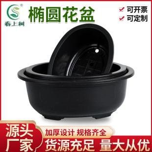 �E�A���辰���������Ř���ޱ�����G���Ϙ����S����طN���辰��