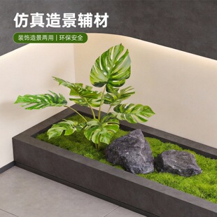 ����Gֲ�������~���ϾGֲ���^�b�С��݆����ٻ������b��쾰