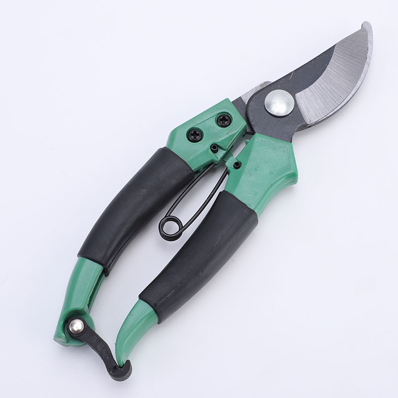 14436356817_29434176