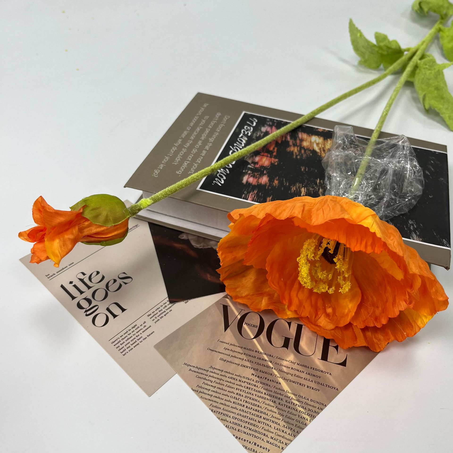 큰 양귀비 오렌지