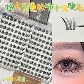 喵千金假睫毛免胶超大量日常通勤快速搞定新手易上手灵动双眼睫毛
