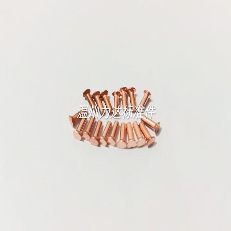 生产各种紫铜件,紫铜铆钉,紫铜非标件 铜螺丝 非标 定 制