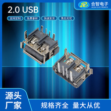 AF 2.0USBw10.0ĸǰ_DIP߅z7.8B