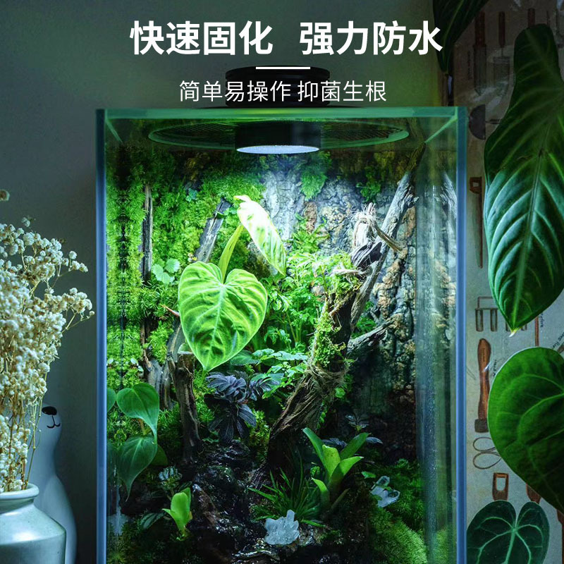 スケルトン接着剤、苔、マイクロランドスケープ、粘着性の岩、沈没した木、サンゴ、ツツジの根、水槽用瞬間接着剤|undefined