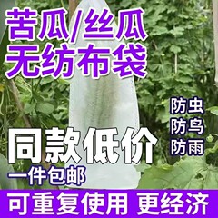 苦瓜套袋瓜果防虫袋防鸟针蜂果蝇网袋包黄瓜丝瓜青瓜果套袋保护套