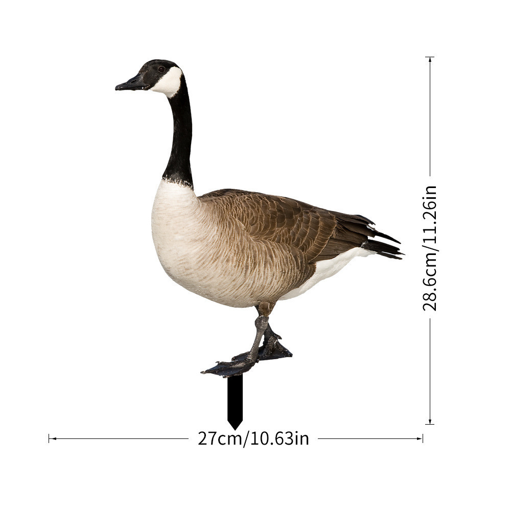28.6*27