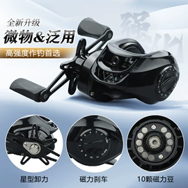 鱼竿;渔线轮;鱼饵