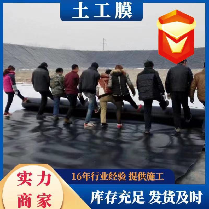 高密度聚乙烯土工膜黑色耐撕裂污水池防渗膜垃圾填埋场覆盖土工膜