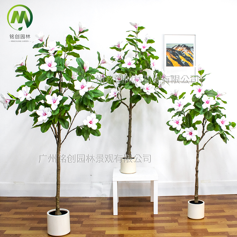 高级绿植仿真玉兰树盆栽室内假树客厅大型落地玉兰花树装饰摆件