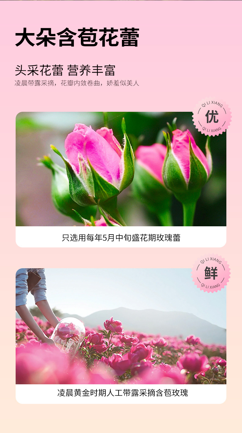 Dried Rose Bud Tea 60g Box Pingyin Double Petal Rosebuds for Herbal Tea key features