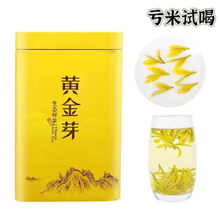 �S��ѿ2023���²谲����ɽ�ײ�����ɢ�b���~�ߙn�G���S�������