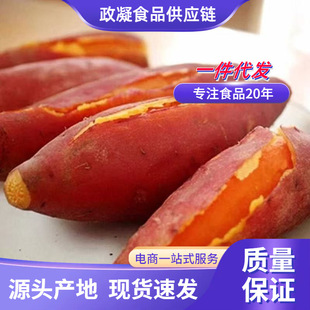 ������������ ���l3/9�����r�߲����ļt��������Ŵ�����ع������^