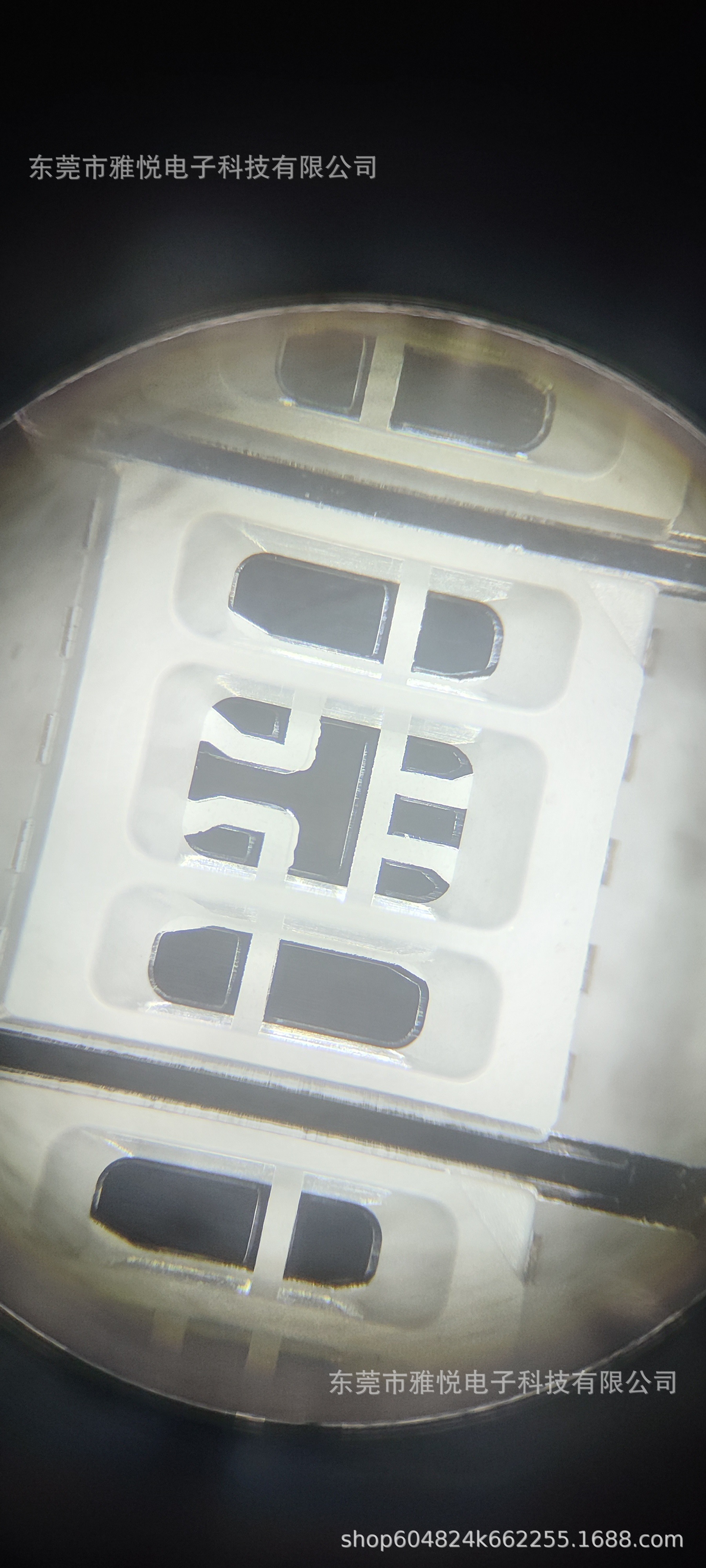 微信图片_20241107144756